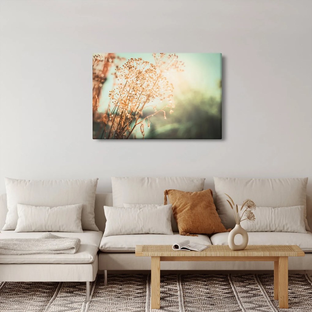 Obraz - Lúčne rastliny (90x60 cm)