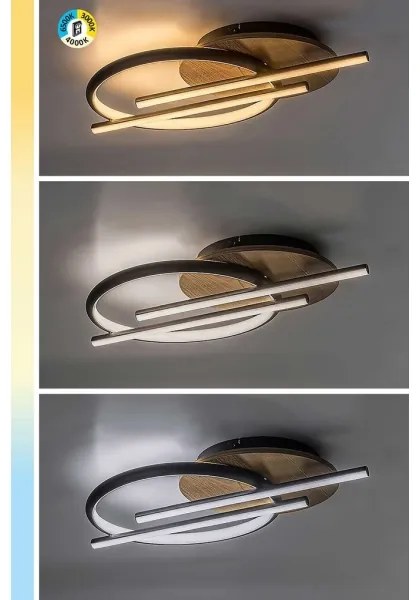 Rabalux 71404 - LED Stropné svietidlo ARASH LED/40W/230V 3000/4000/6500K