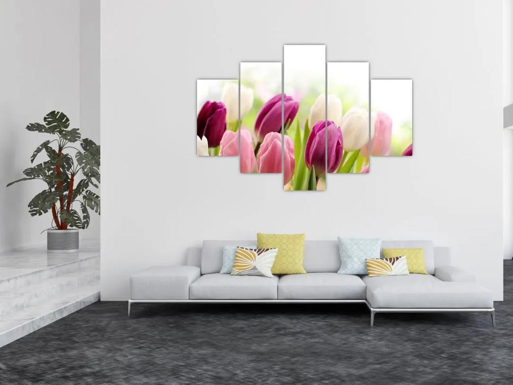 Tulipány, maľby