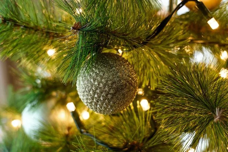 DECOLED LED svetelná reťaz ELSLN, 20 m, 100 teplých bielych LED diód, IP44, vrátane zdroja