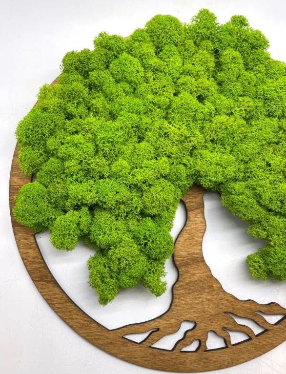 Strom na stenu z machu Marin 30 cm