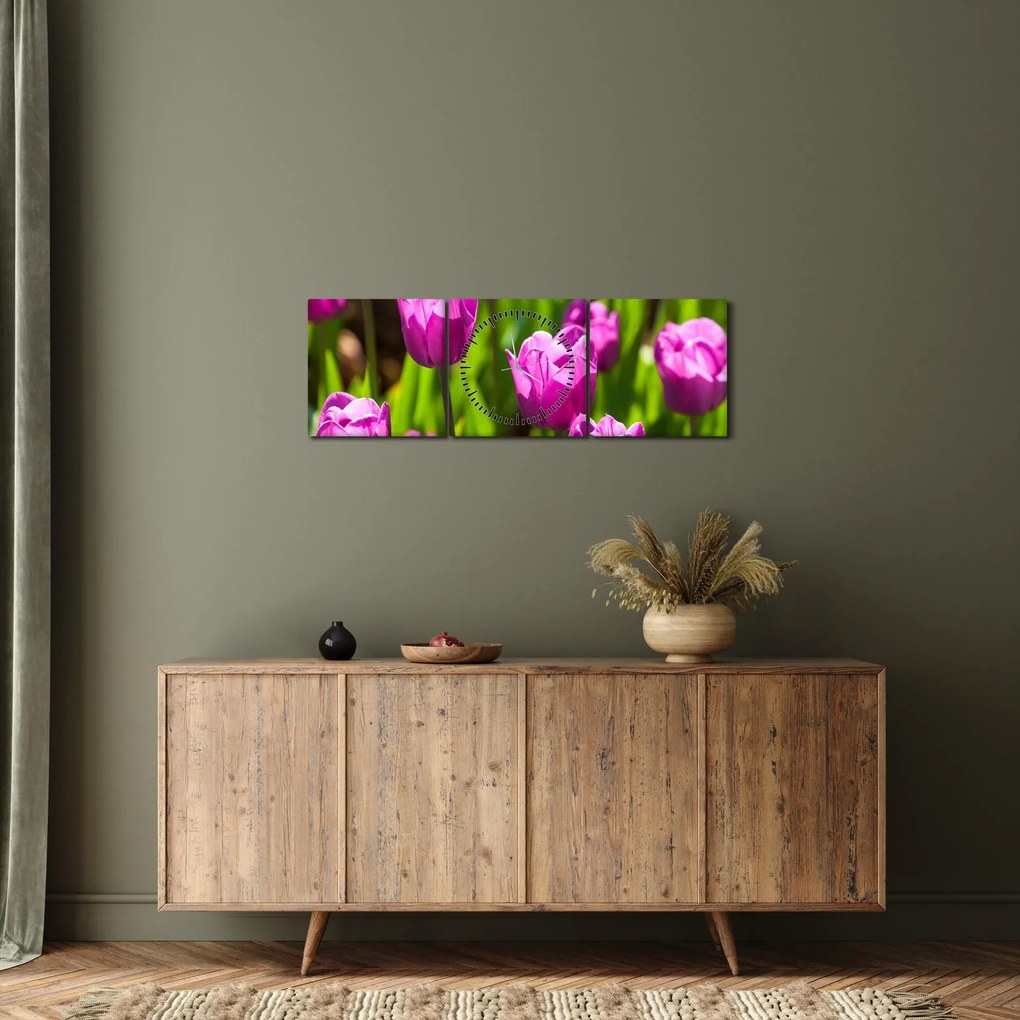 Obraz tulipánov na lúke (s hodinami) (90x30 cm)