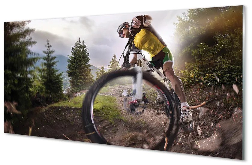 Obraz plexi Cloud na horskom bicykli 140x70 cm