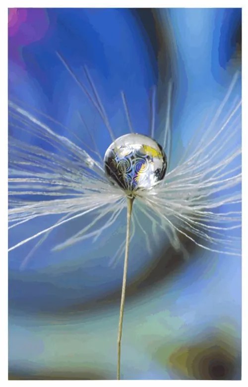 Plagát kvapka rosy na farebnom pozadí - 60x90 silver