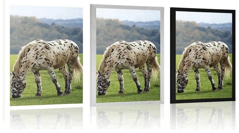 Plagát kôň na lúke - 60x90 silver