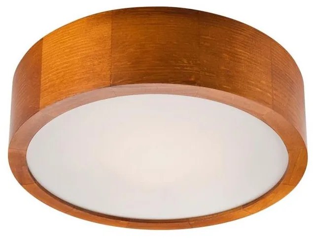 Stropné svietidlo 1xE27/60W/230V