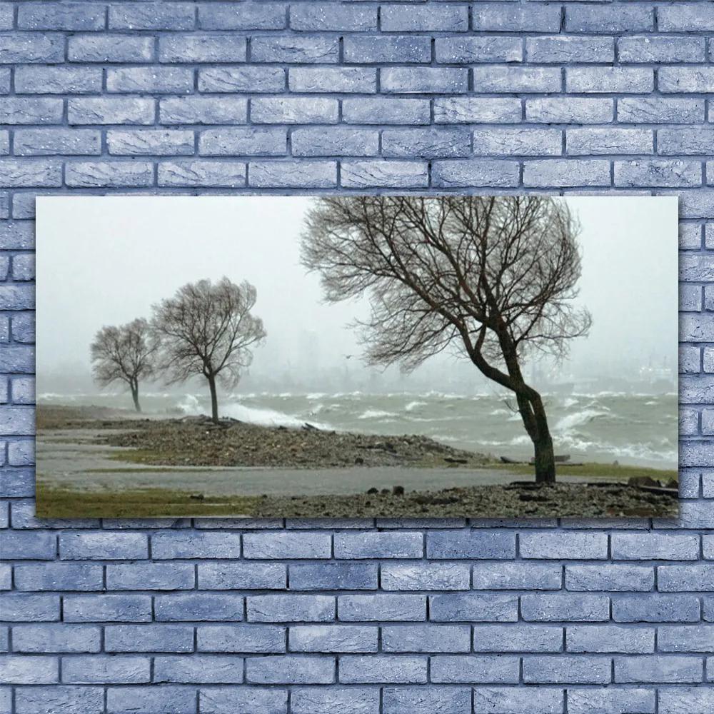Obraz plexi More búrka vlny 120x60 cm