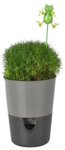 Samozavlažovací kvetináč Rosmarin, antracit, Plastia