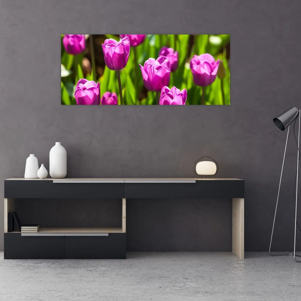 Obraz tulipánov na lúke (120x50 cm)