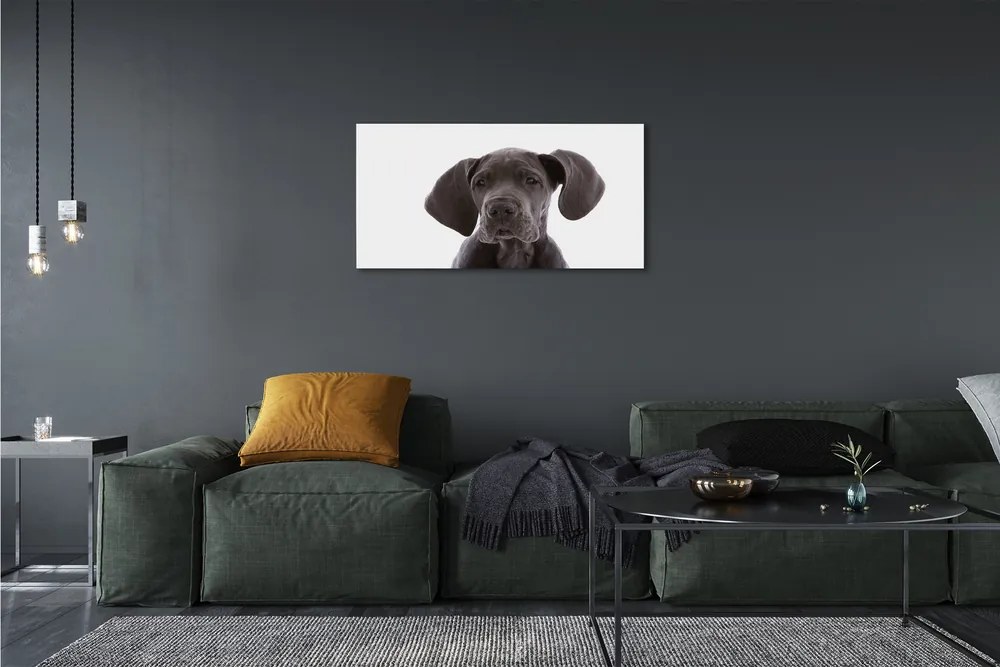 Obraz na plátne hnedý pes 125x50 cm