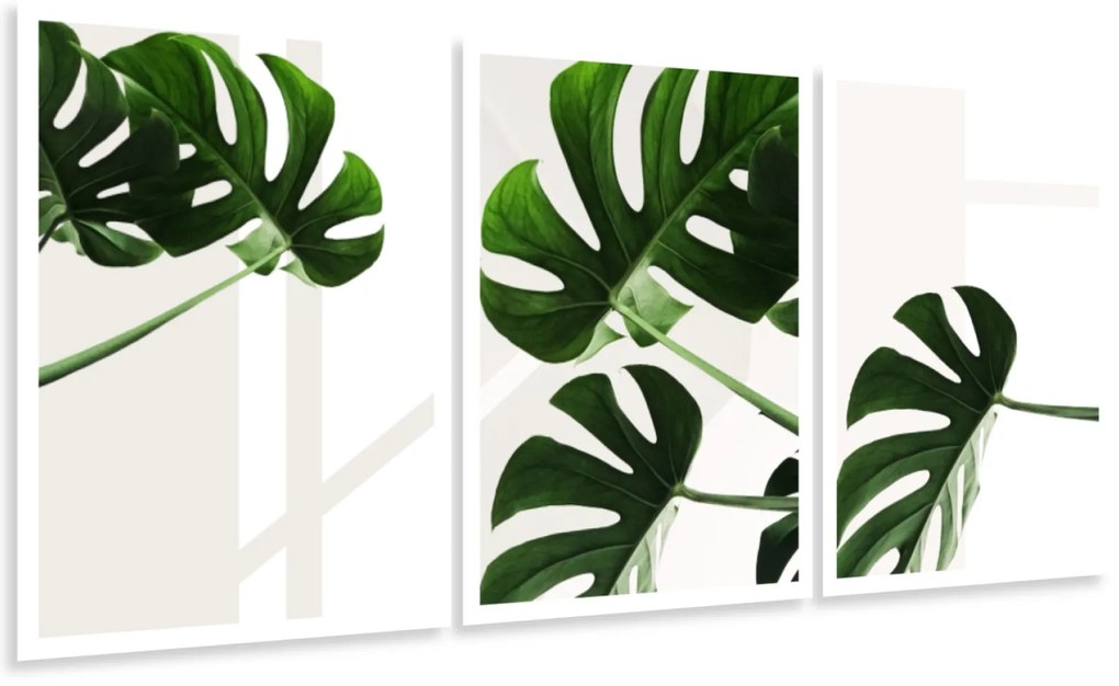 Gario Sada plagátov Krásna zeleň - 3 dielna Farba rámu: Bez rámu, Rozmery: 99 x 45 cm