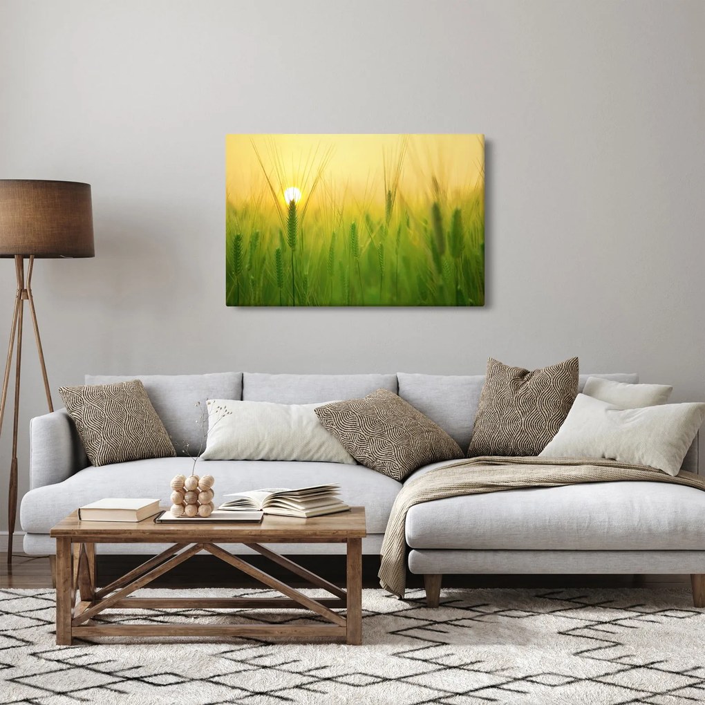 Obraz - Pole s obilím (90x60 cm)