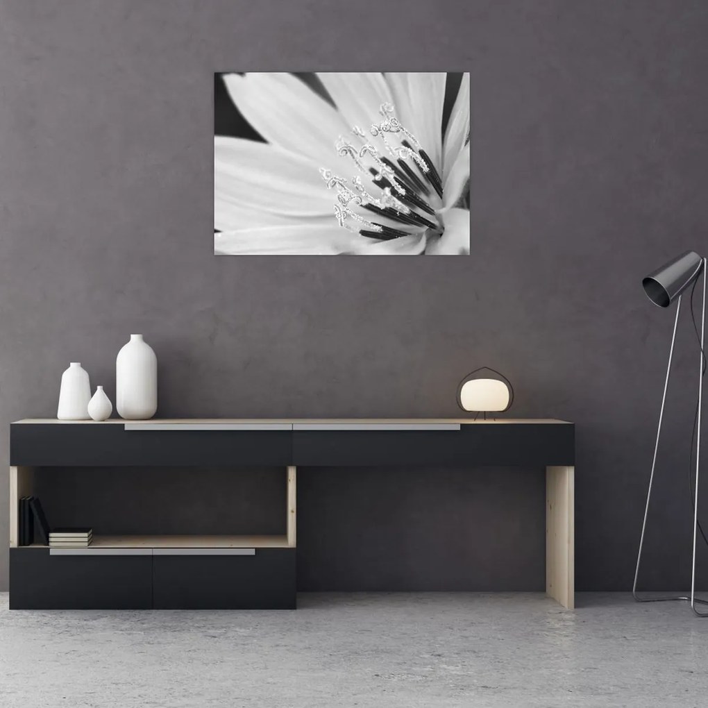 Obraz - Čiernobiely kvet (70x50 cm)