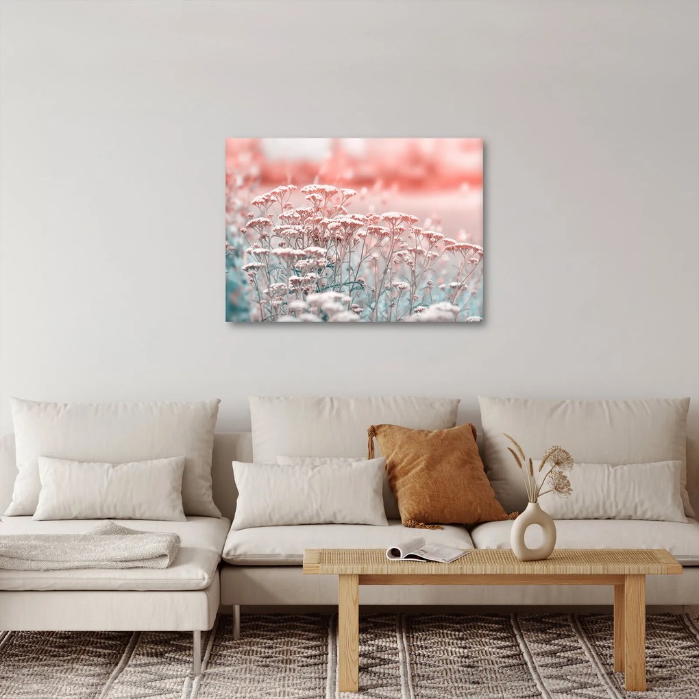 Obraz - Lúčne kvety (70x50 cm)