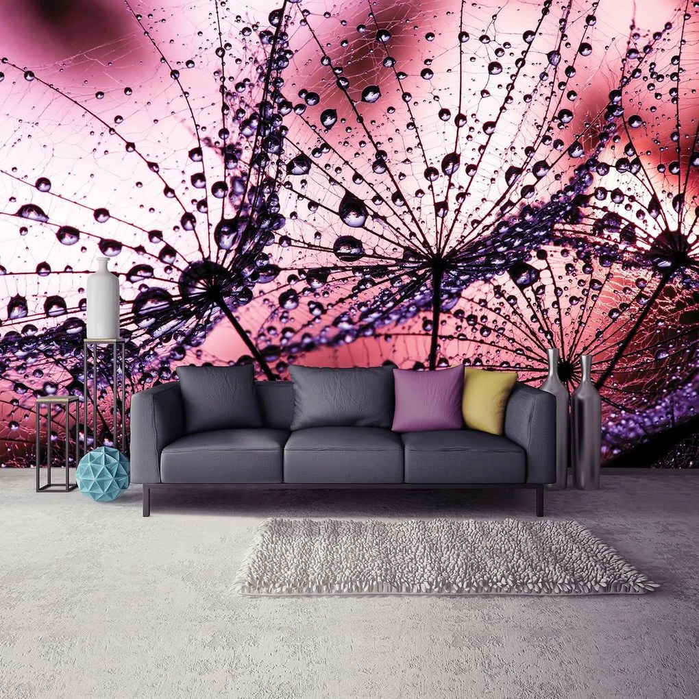 Fototapeta - Púpavy - abstraktné - fialové (152,5x104 cm)