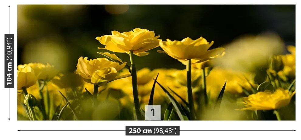 Fototapeta Vliesová Žltý tulipán 152x104 cm