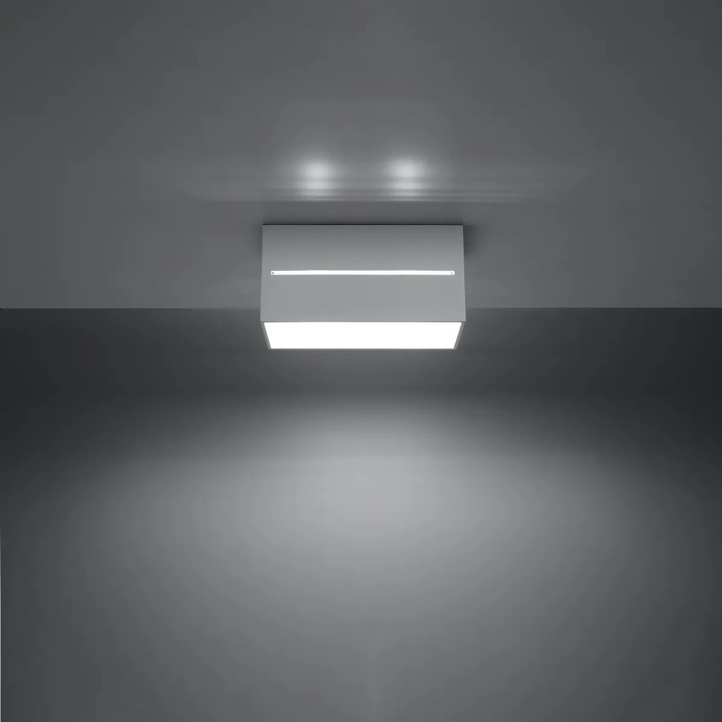 Sollux Lighting Stropné svietidlo LOBO 2 biele