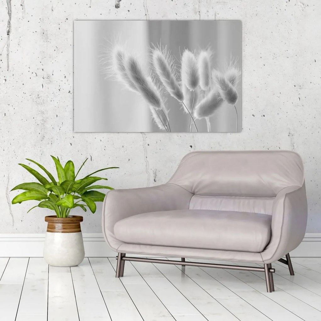 Obraz - Bunny tail grass (90x60 cm)