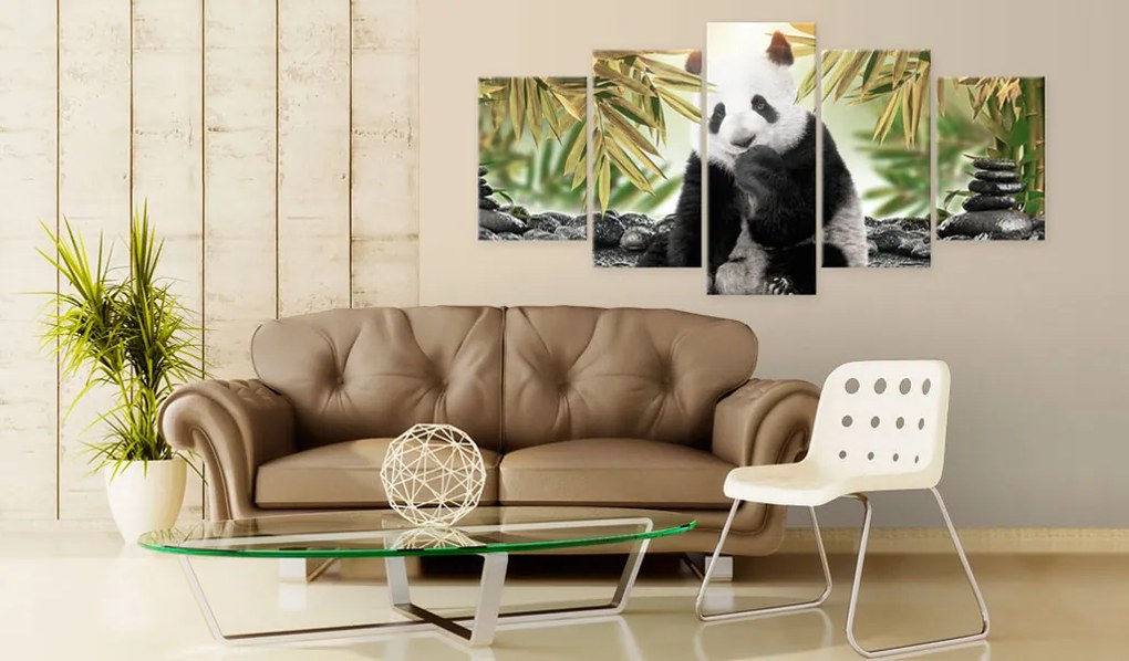 Artgeist Obraz - Cute Panda Bear Veľkosť: 100x50, Verzia: Na talianskom plátne