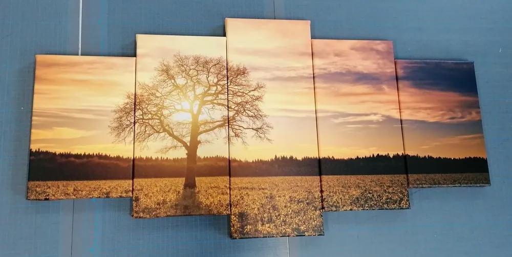 5-dielny obraz osamelého stromu - 100x50