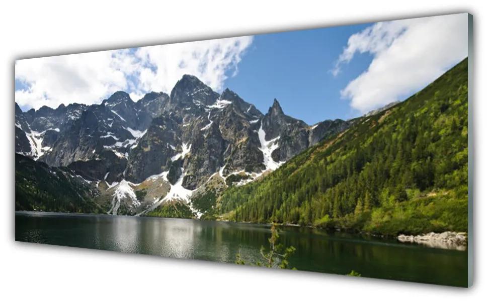 Obraz na akrylátovom skle Hora jazero les príroda 125x50 cm