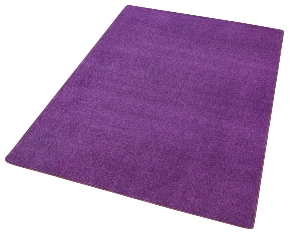 Tmavofialový koberec 160x240 cm Fancy – Hanse Home