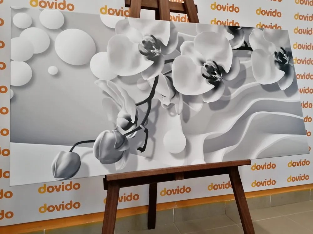 Obraz čiernobiela orchidea na abstraktnom pozadí