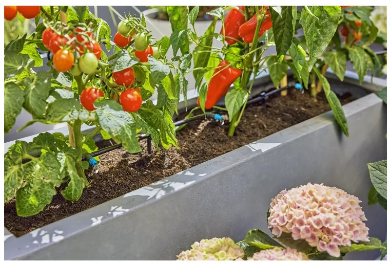 Gardena Zavlažovanie na terasu Micro-Drip-System  (100391578)