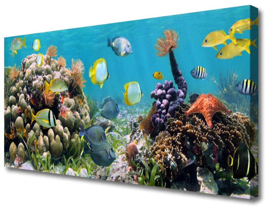 Obraz na plátne Koralový útes príroda 140x70 cm