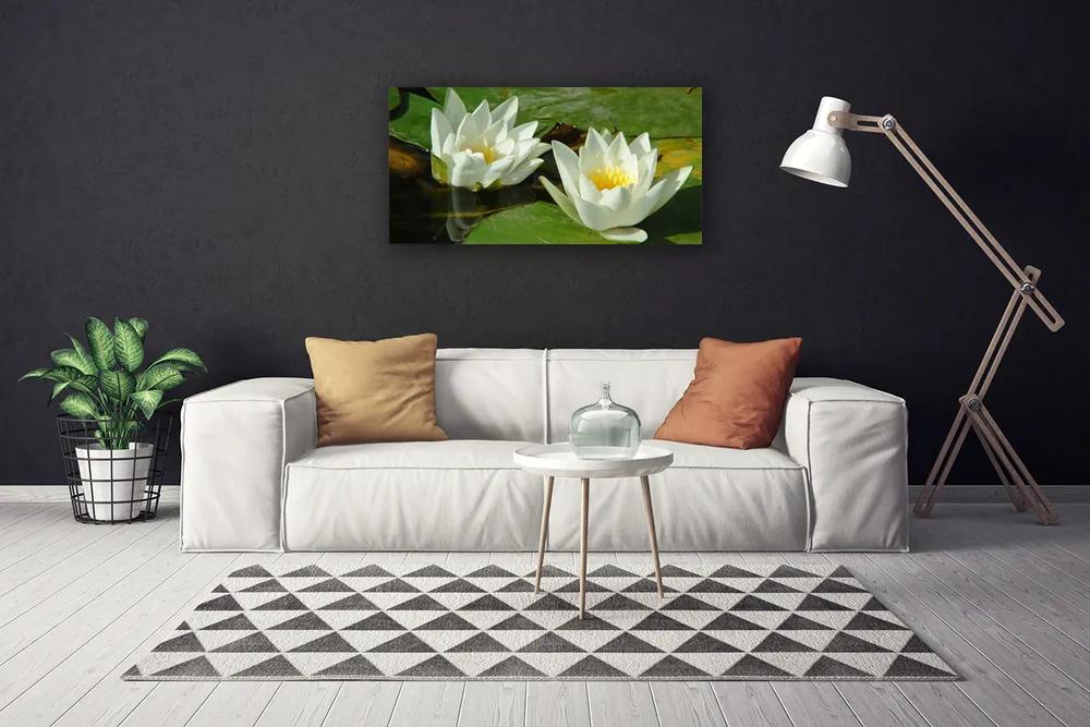 Obraz Canvas Kvety rastliny príroda 140x70 cm