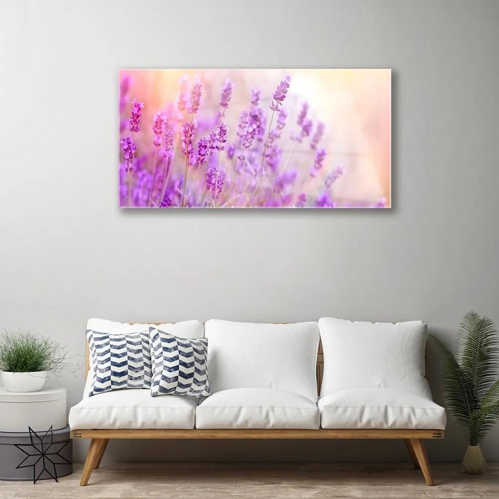 Skleneny obraz Levanduľovej pole slnko kvety 100x50 cm