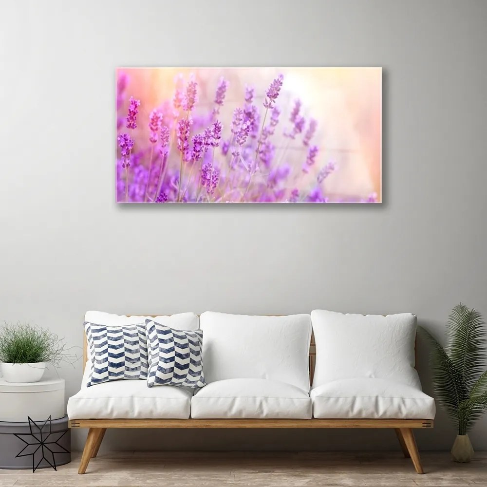 Skleneny obraz Levanduľovej pole slnko kvety 140x70 cm