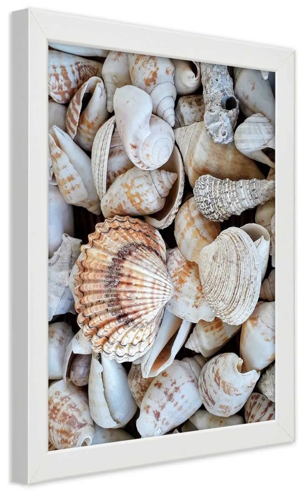 Gario Plagát Detailný záber na mušle Farba rámu: Bez rámu, Rozmery: 20 x 30 cm