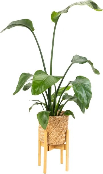 Stojan na kvety NEST