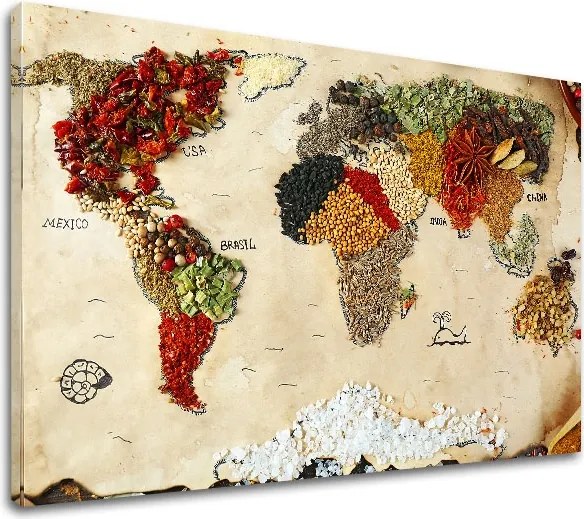 Obraz na stenu MAPY_006