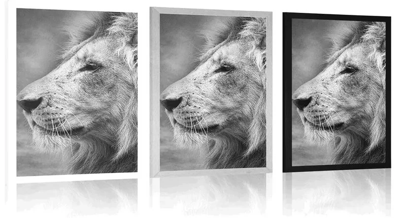 Plagát africký lev v čiernobielom prevedení - 60x90 white
