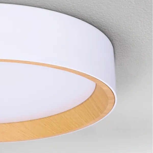 Brilagi -LED Stmievateľné svietidlo LARIOS LED/60W/230V 3000-6500K ø 49 cm biela+DO