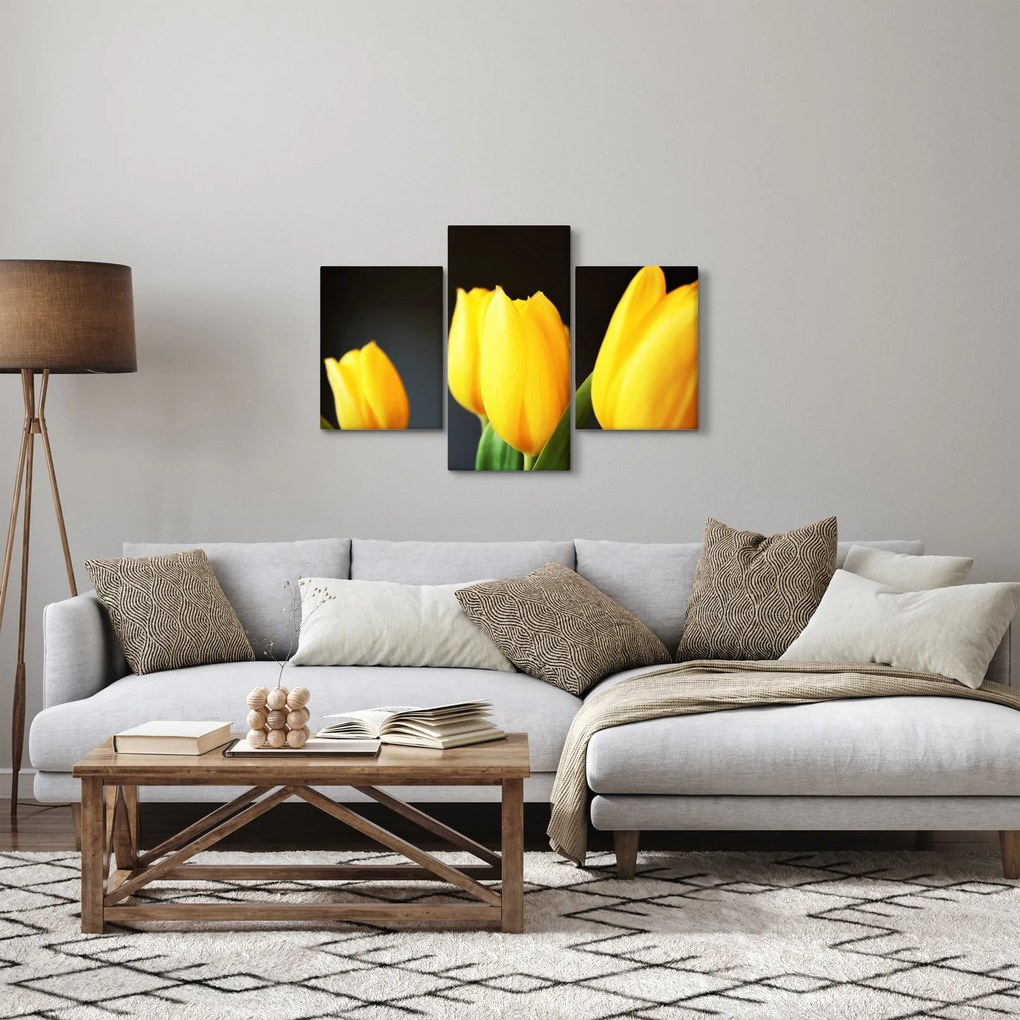 Obraz tulipánov (90x60 cm)