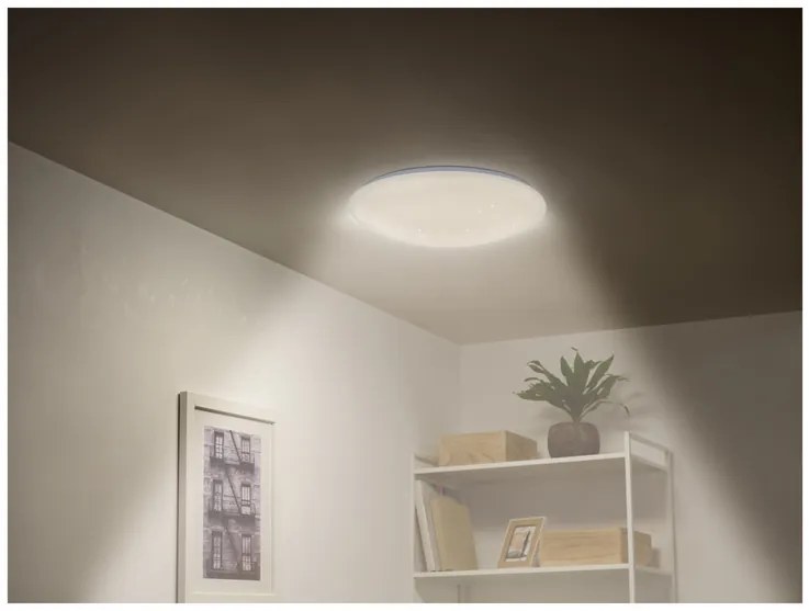 Livarno home Stropné LED svietidlo (hviezdna obloha) (100379785)