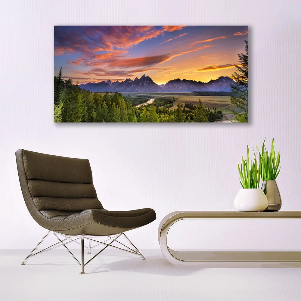 Obraz plexi Hora les slnko príroda 120x60 cm