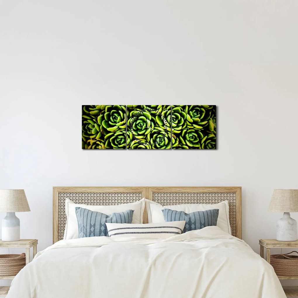 Obraz skalníc (s hodinami) (90x30 cm)