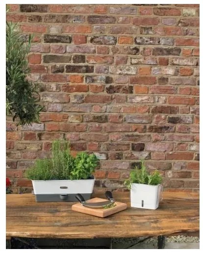 Cole&Mason - Nádoba na uchovanie rezaných byliniek