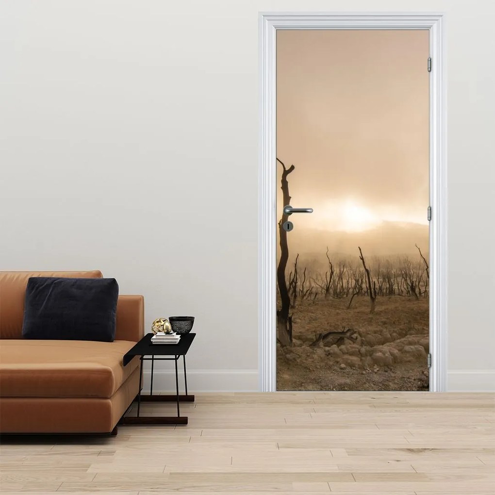 Fototapeta na dvere - Holé stromy (95x205cm)