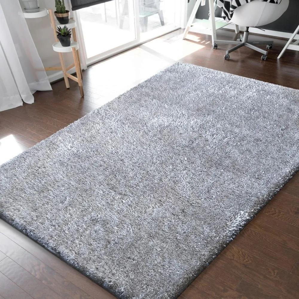 DY Shaggy koberec Merinos - sivý Rozmer: 160 x 220 cm | BIANO
