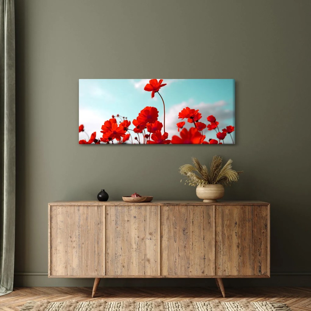 Obraz poľa s jasne červenými kvetmi (120x50 cm)