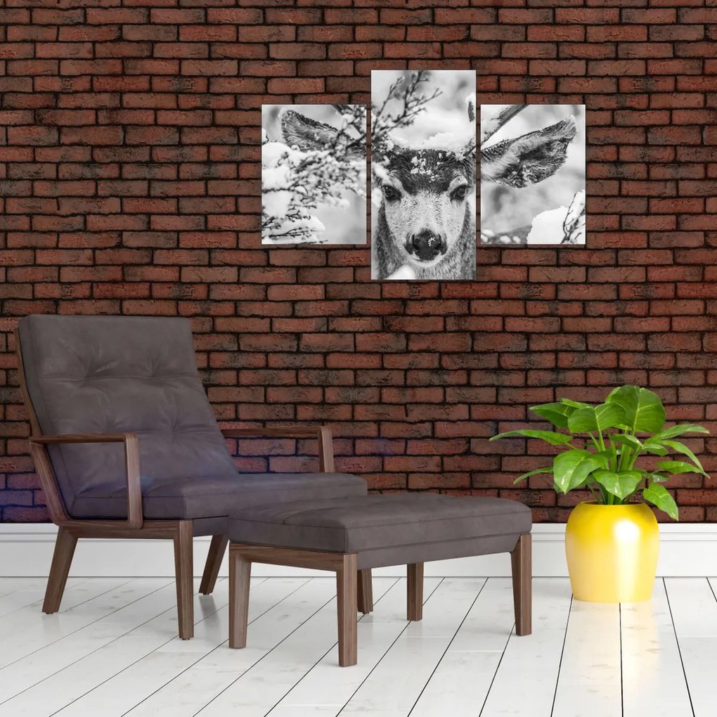 Obraz - Jeleň v zime (90x60 cm)