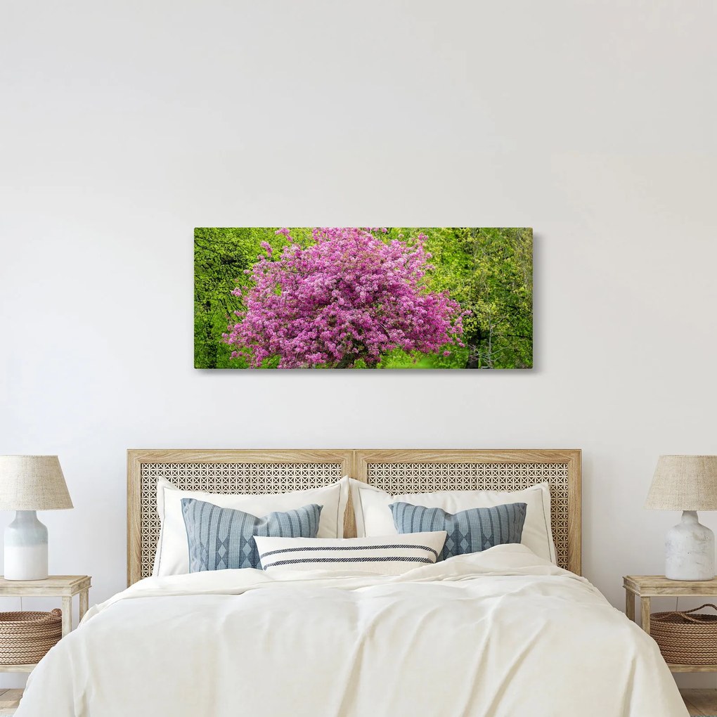 Obraz rozkvitnutého stromu na lúke (120x50 cm)