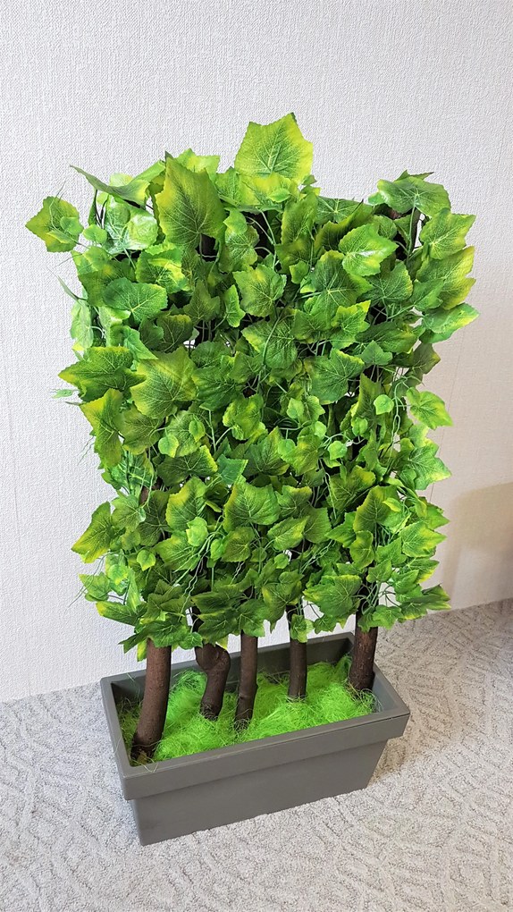 Zástena z listov viniča- 160 cm x 60 cm