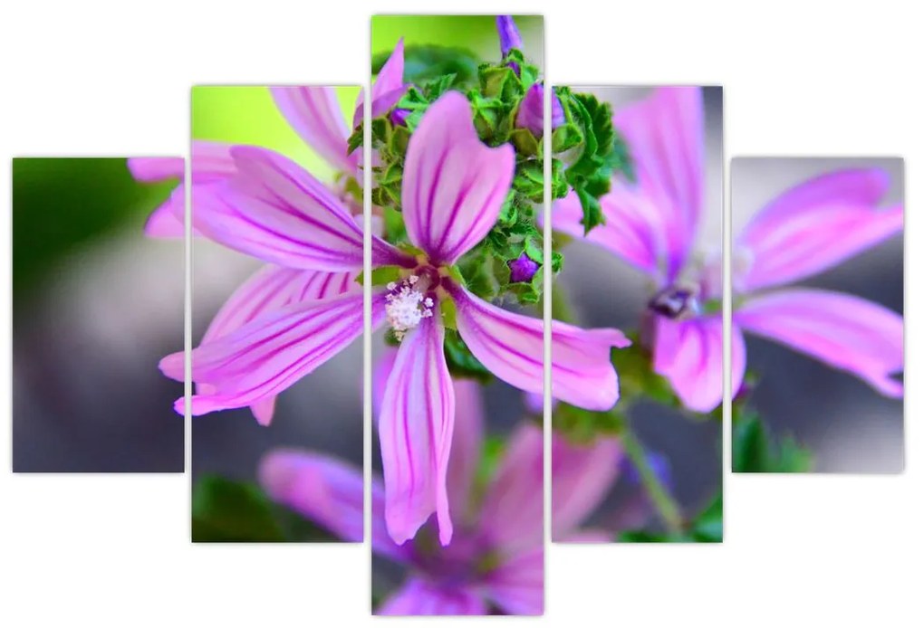 Detailný obraz kvetiny (150x105 cm)
