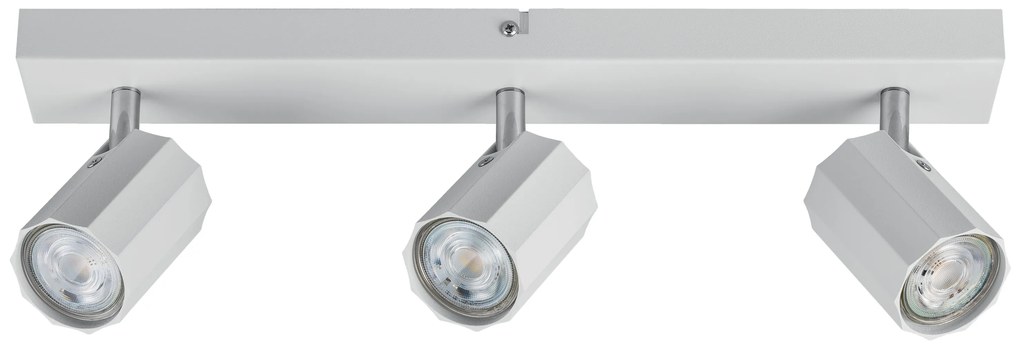 Livarno home Stropné svietidlo (lištové svietidlo, matná biela)  (100393031)